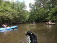 Kayakers and Dog